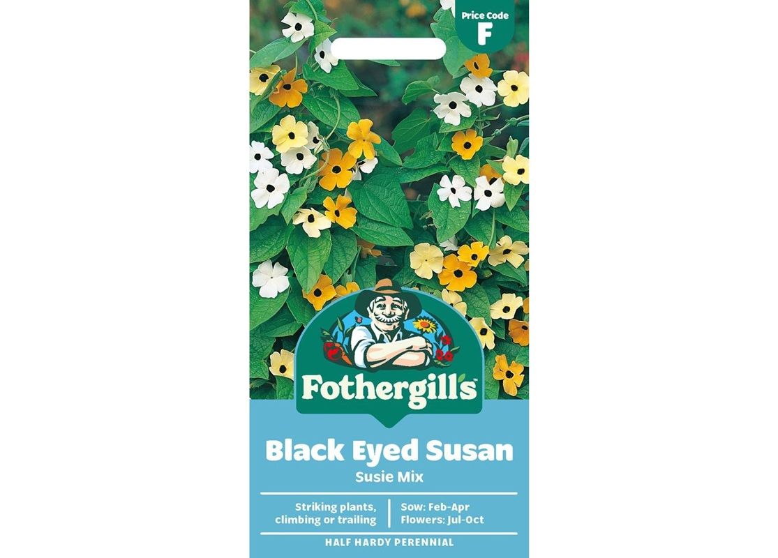 BLACK EYED SUSAN Susie Mix