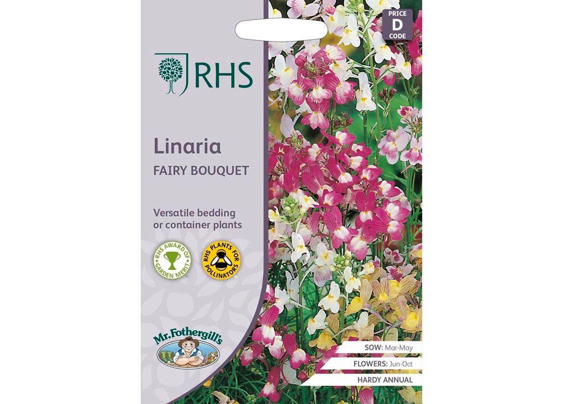 RHS LINARIA Fairy Bouquet