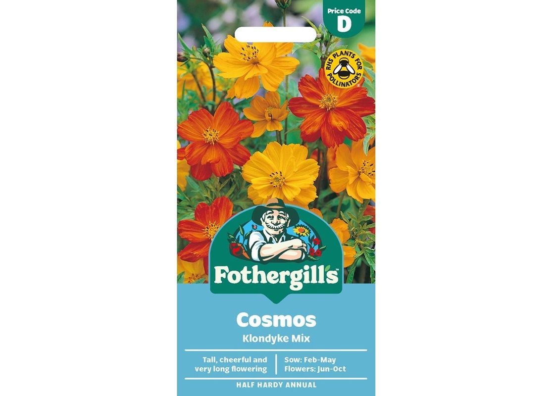 COSMOS Klondyke Mix COSMOS Klondyke Mix