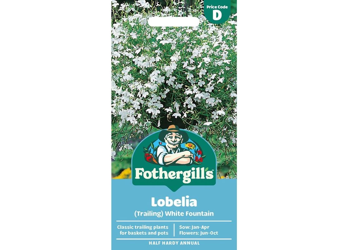 LOBELIA (Trailing) White Fountain
