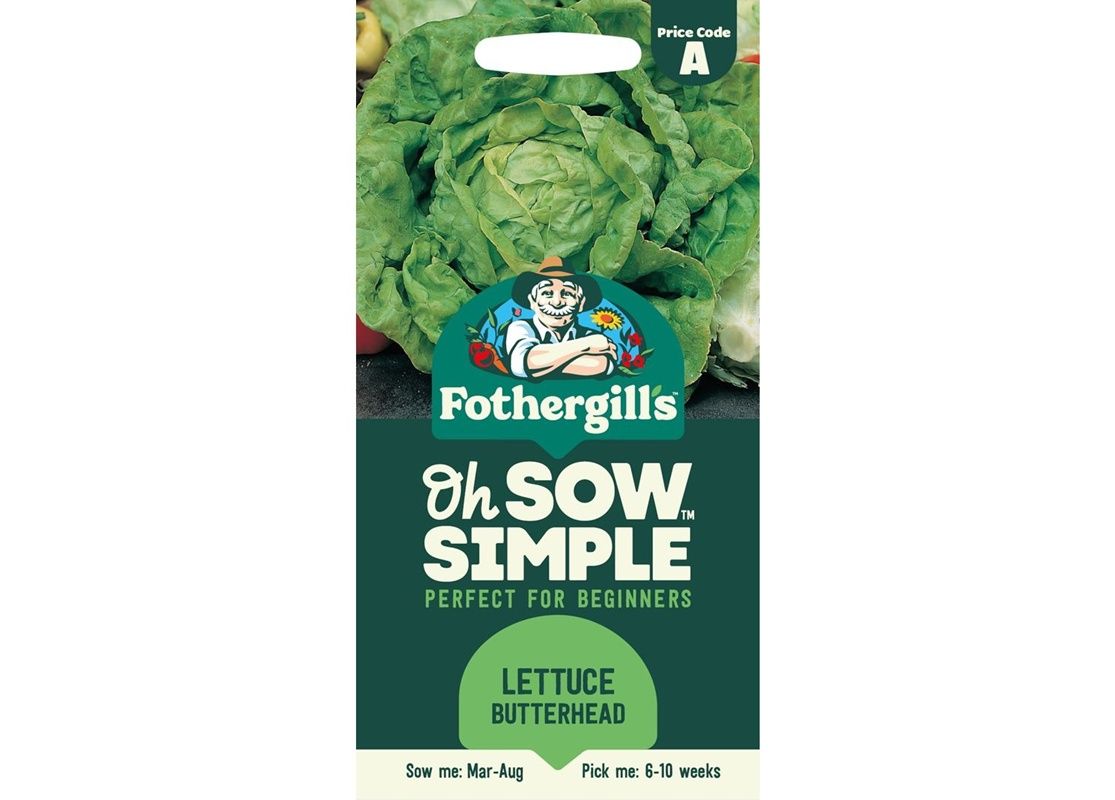 LETTUCE All The Year Round