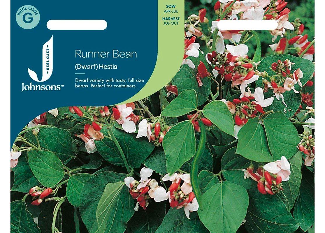 RUNNER BEAN (Dwarf) Hestia RUNNER BEAN (Dwarf) Hestia