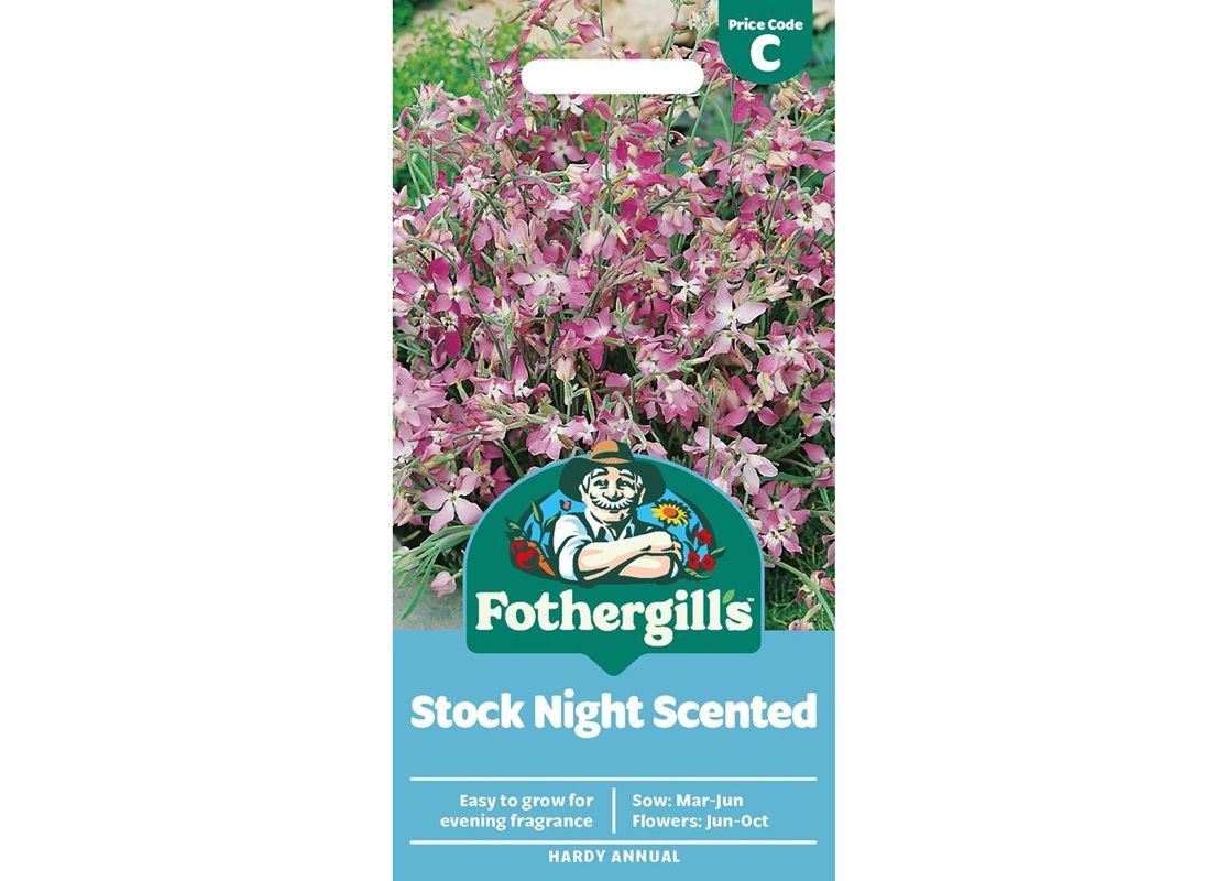 STOCK NIGHT SCENTED STOCK NIGHT SCENTED