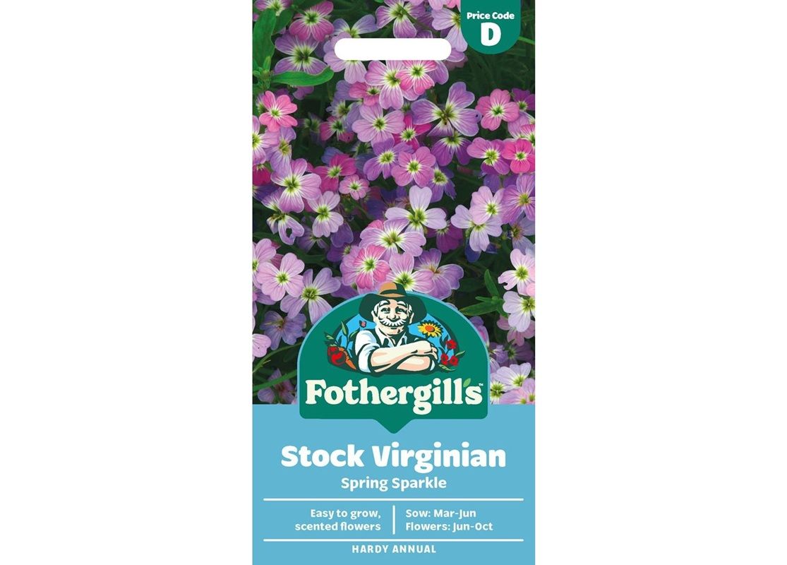 STOCK VIRGINIAN Spring Sparkle STOCK VIRGINIAN Spring Sparkle