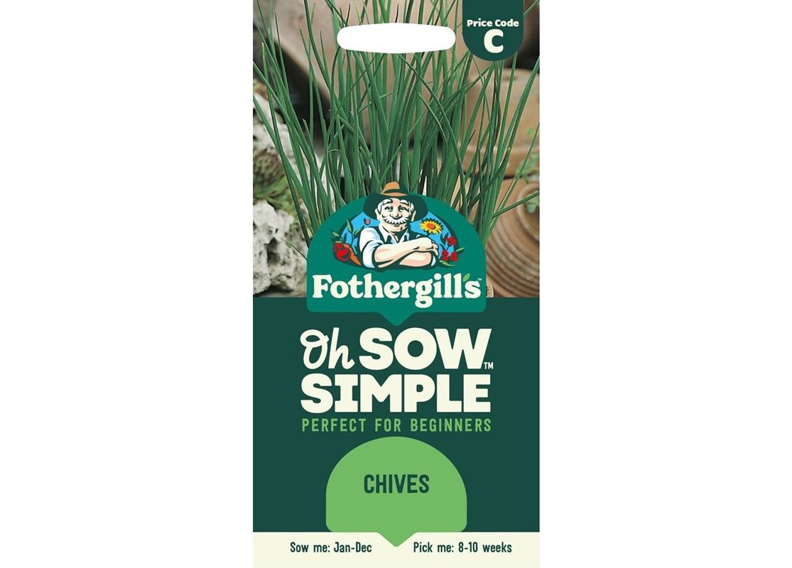 CHIVES Fine Leaf CHIVES Fine Leaf