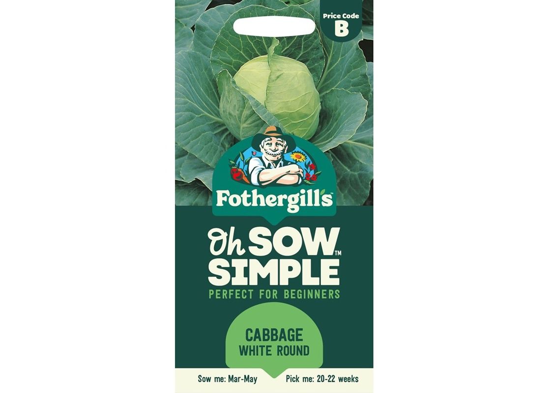 CABBAGE Golden Acre (Primo II)