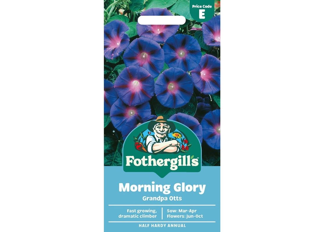 MORNING GLORY Grandpa Otts