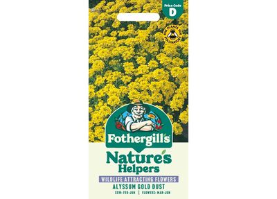 ALYSSUM Gold Dust ALYSSUM Gold Dust