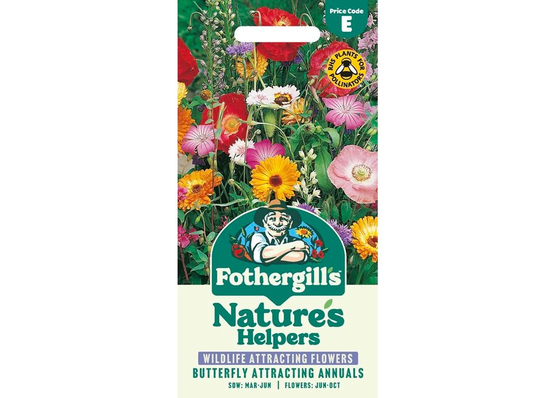 BUTTERFLY ATTRACTING Annuals