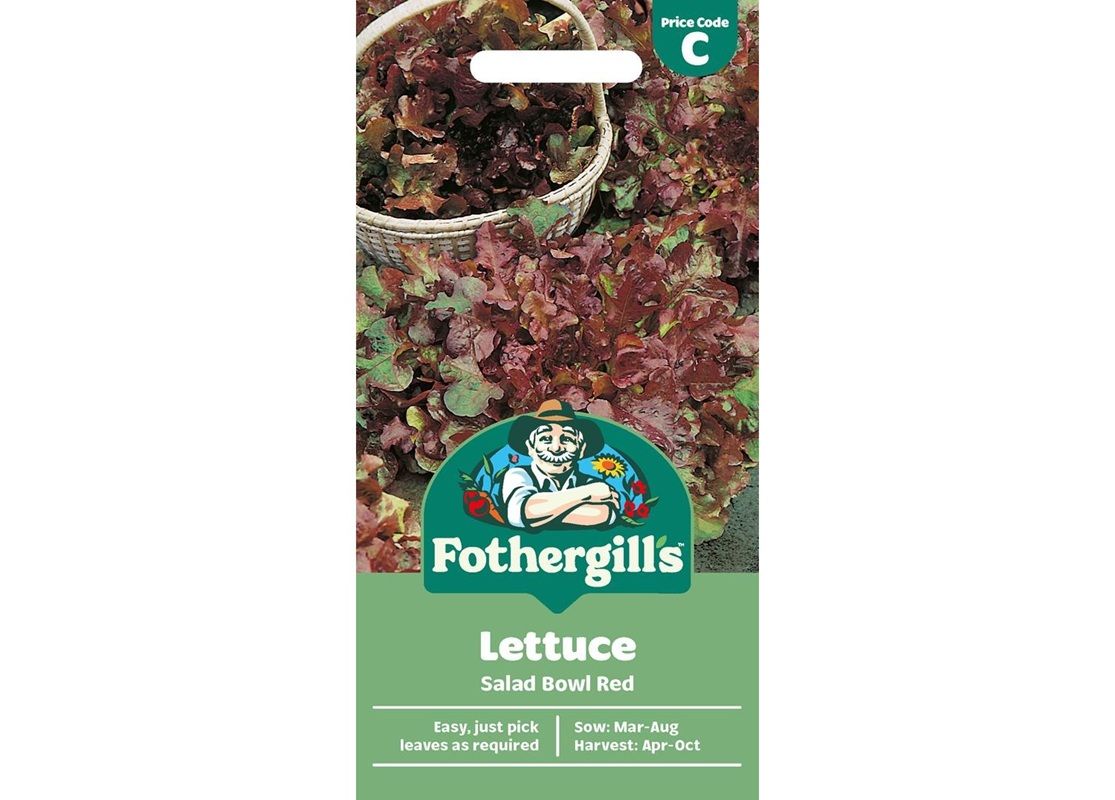 LETTUCE Salad Bowl Red LETTUCE Salad Bowl Red