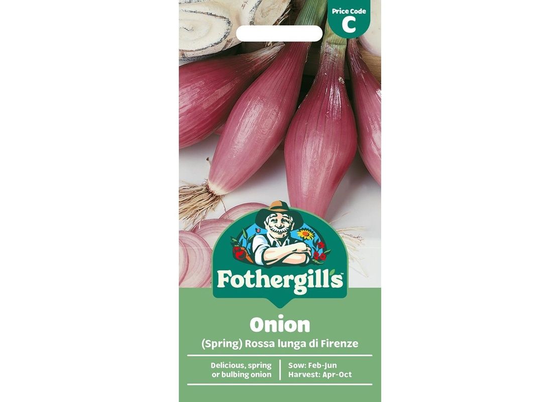 ONION (Spring) Rossa lunga di Firenze ONION (Spring) Rossa lunga di Firenze