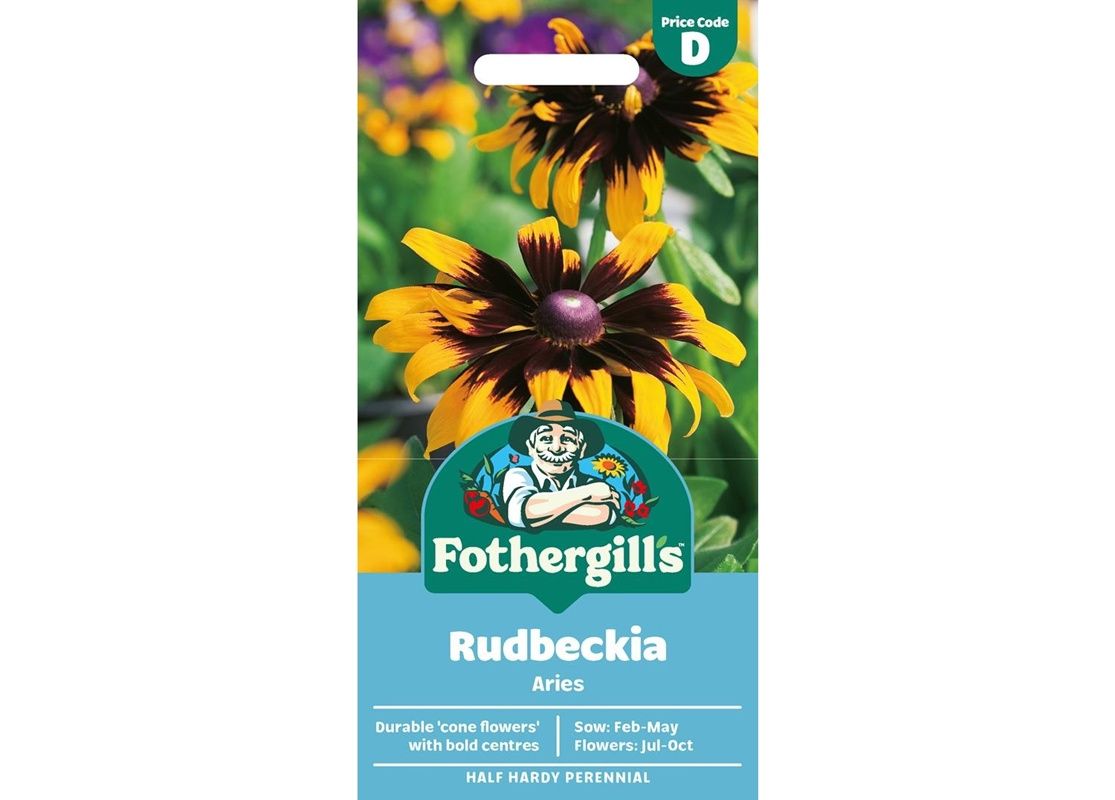 RUDBECKIA Aries