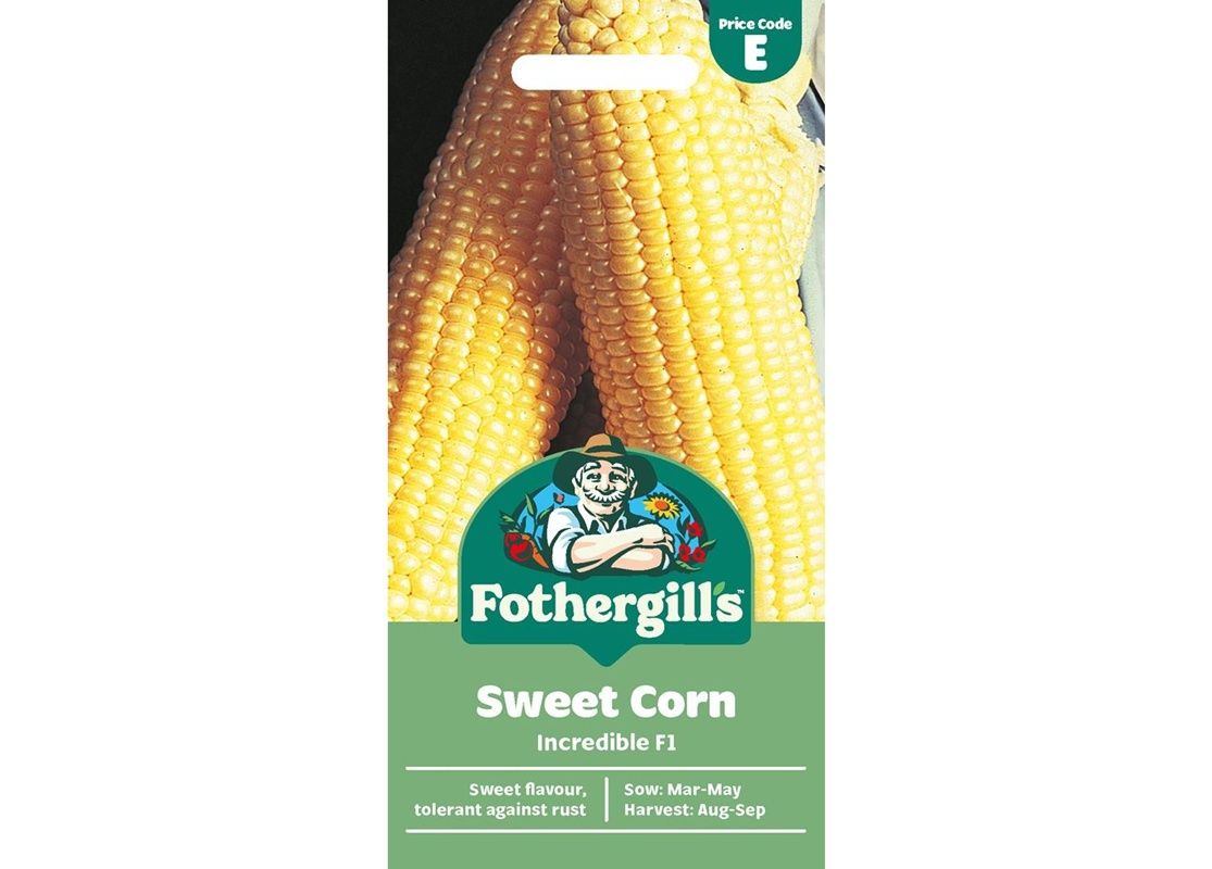 SWEET CORN Incredible F1