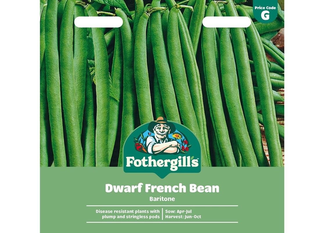 DWARF FRENCH BEAN Baritone