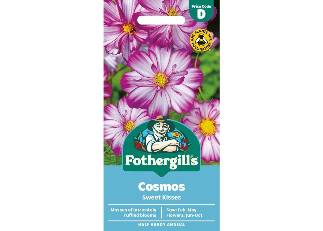 COSMOS Sweet Kisses COSMOS Sweet Kisses