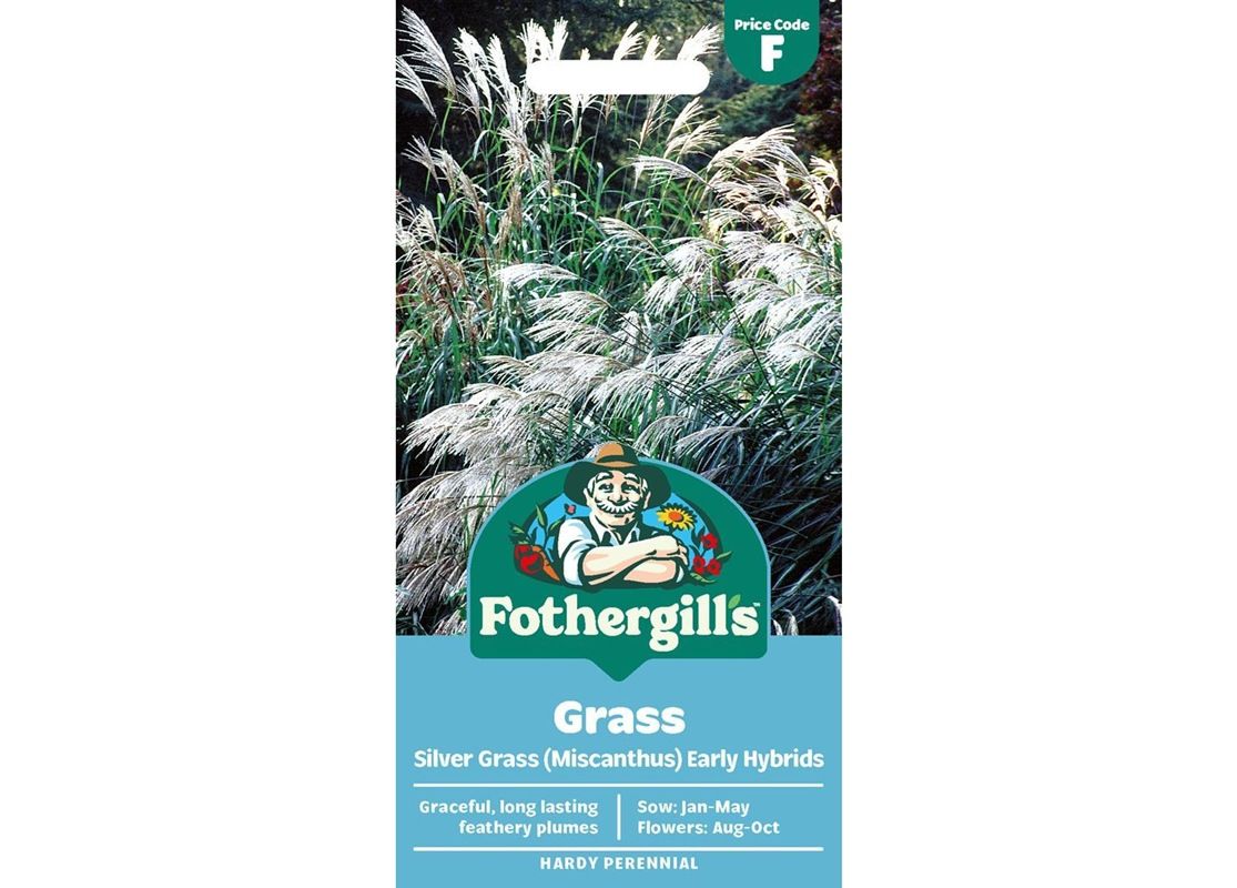 GRASS Silver Grass (Miscanthus) Early Hybrids GRASS Silver Grass (Miscanthus) Early Hybrids