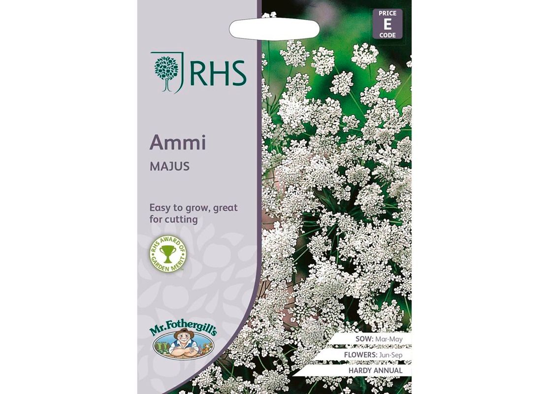 RHS AMMI majus RHS AMMI majus