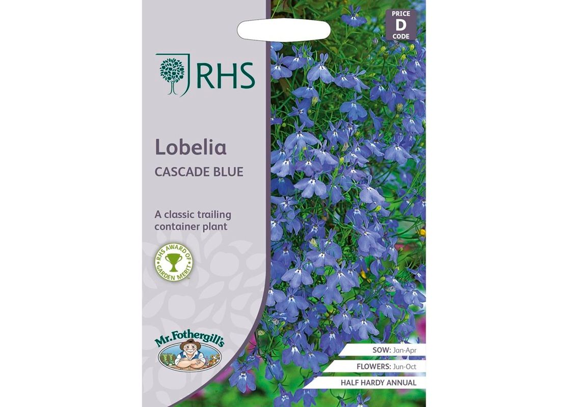 RHS LOBELIA Cascade Blue RHS LOBELIA Cascade Blue
