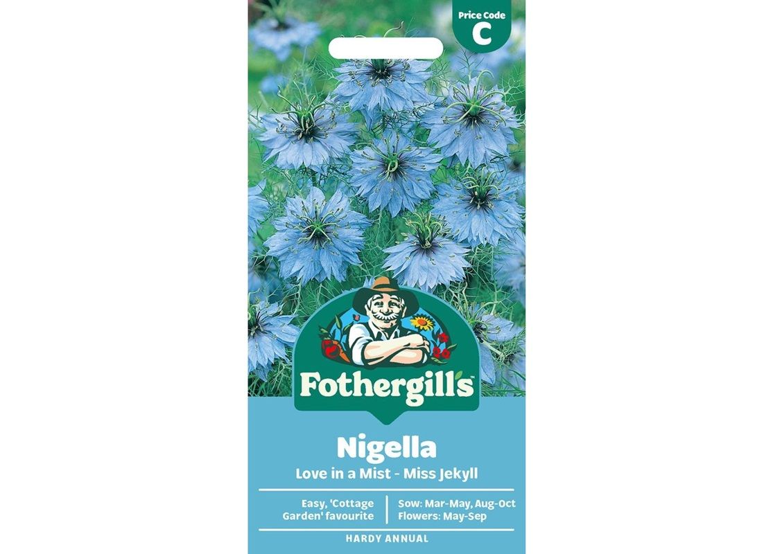 NIGELLA Love in a Mist - Miss Jekyll NIGELLA Love in a Mist - Miss Jekyll