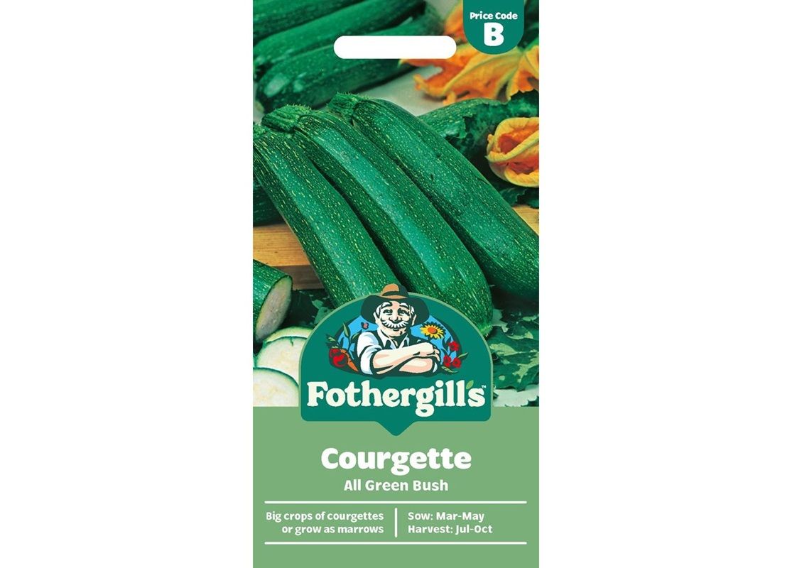 COURGETTE All Green Bush COURGETTE All Green Bush