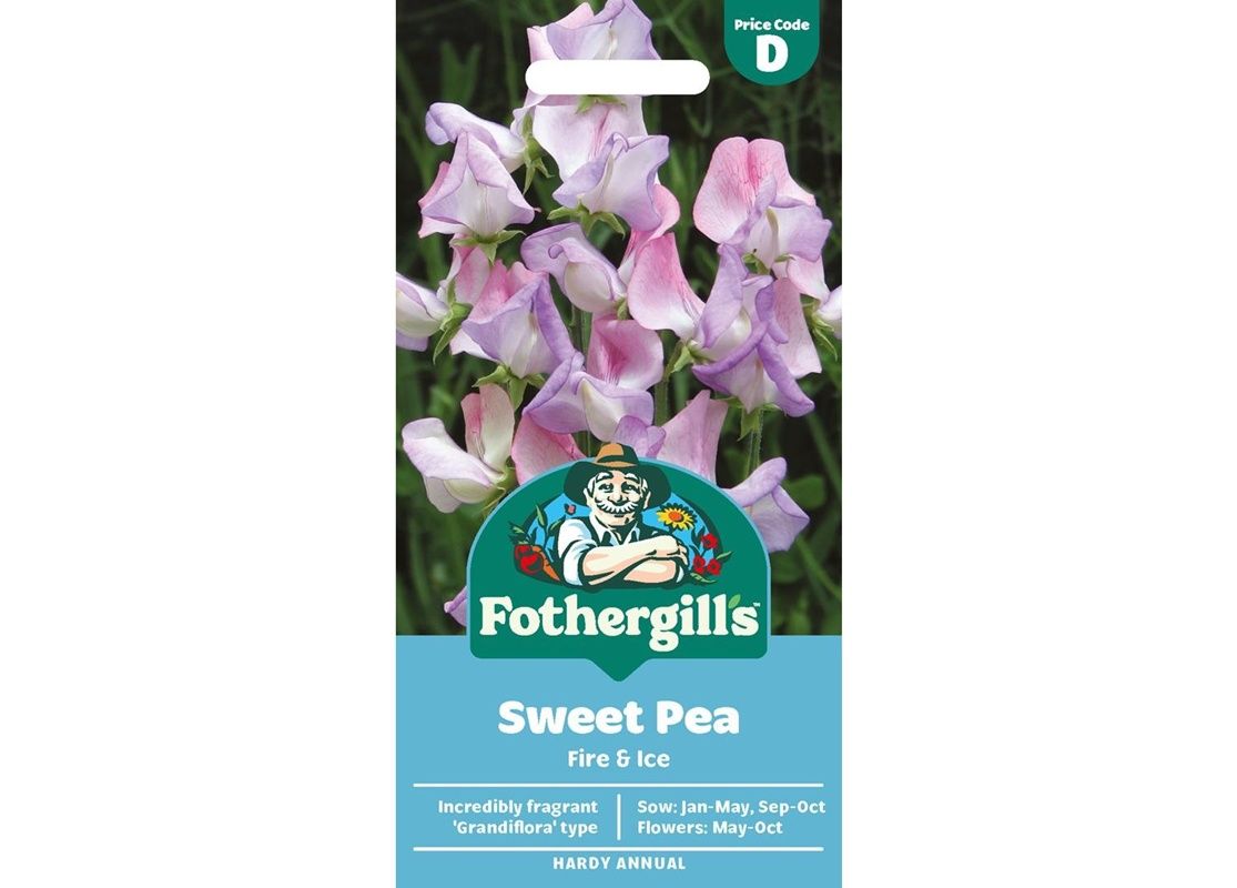 SWEET PEA Fire & Ice SWEET PEA Fire & Ice