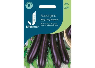 AUBERGINE Early Long Purple 2