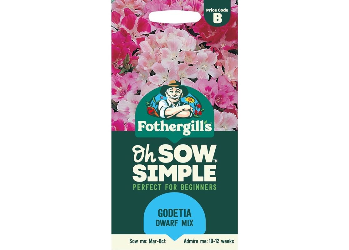 GODETIA Dwarf Mixed GODETIA Dwarf Mixed