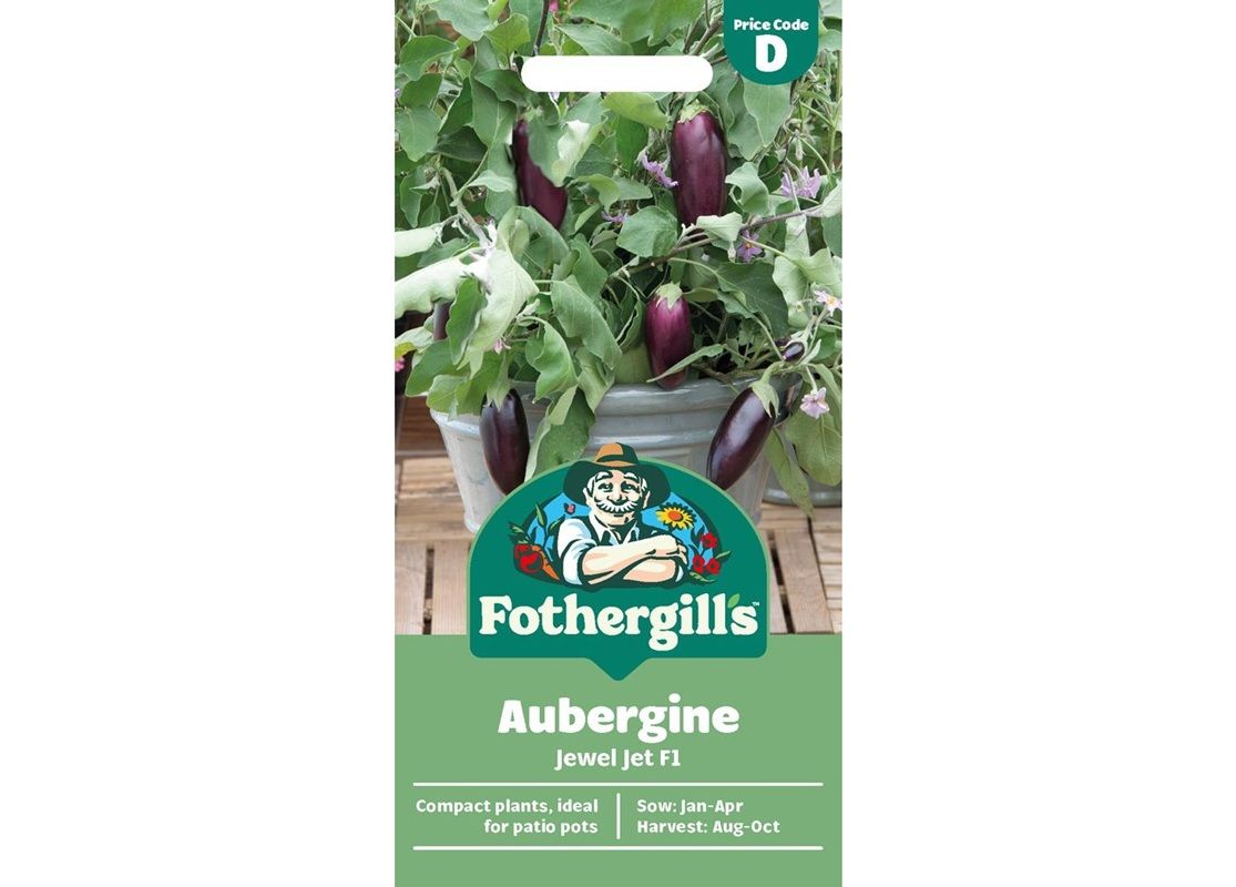 AUBERGINE Jewel Jet F1 AUBERGINE Jewel Jet F1