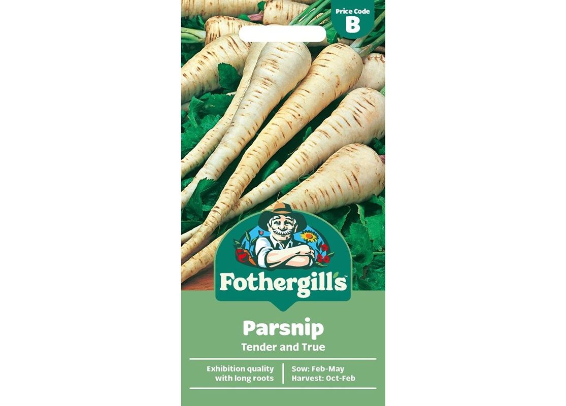 PARSNIP Tender and True PARSNIP Tender and True