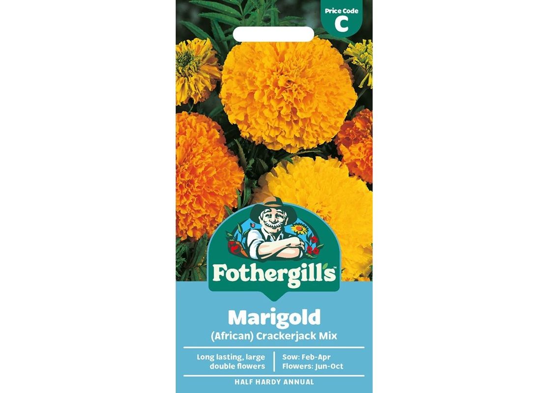 MARIGOLD (African) Crackerjack Mix MARIGOLD (African) Crackerjack Mix