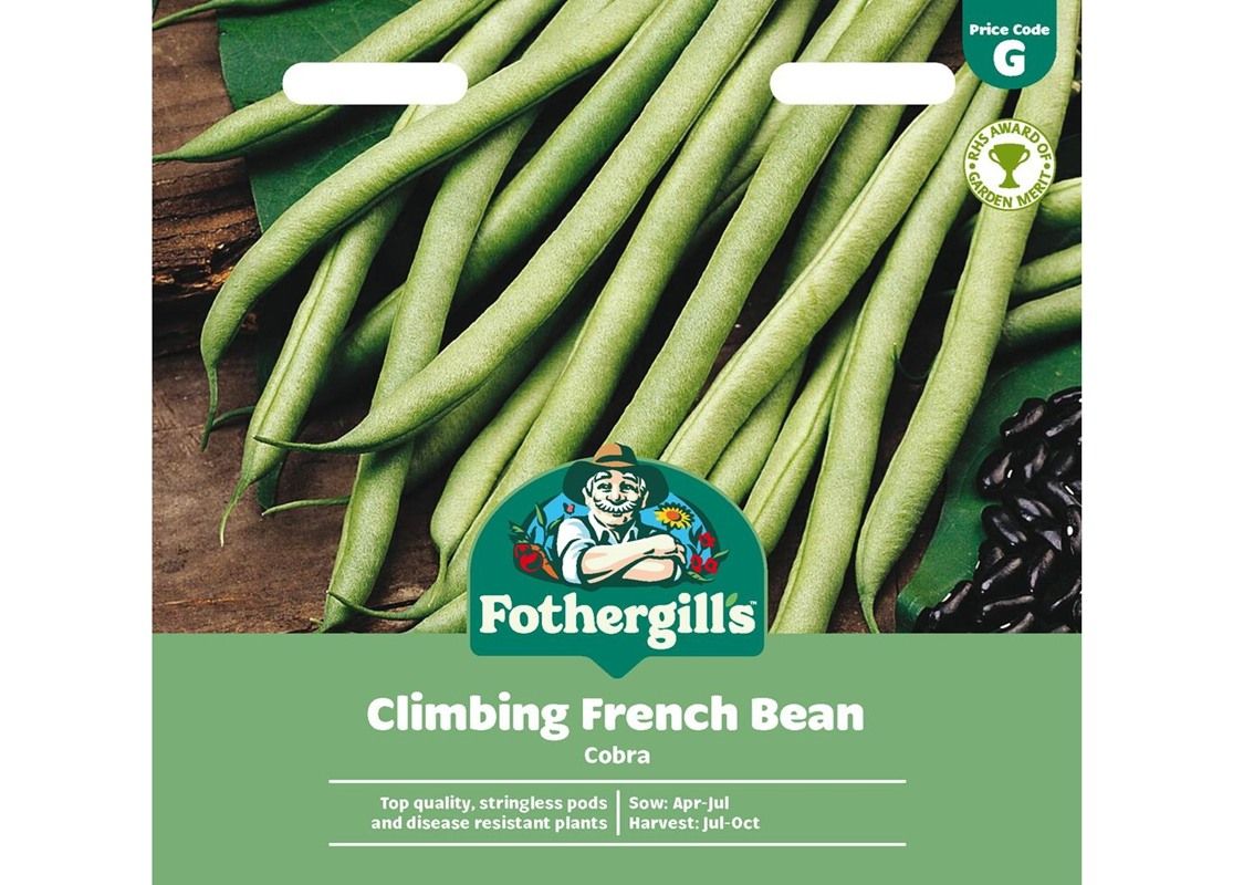 CLIMBING FRENCH BEAN Cobra