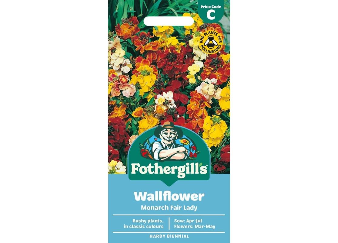 WALLFLOWER Monarch Fair Lady