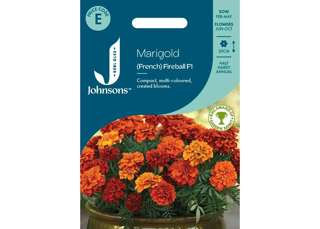 MARIGOLD (French) Fireball F1 MARIGOLD (French) Fireball F1