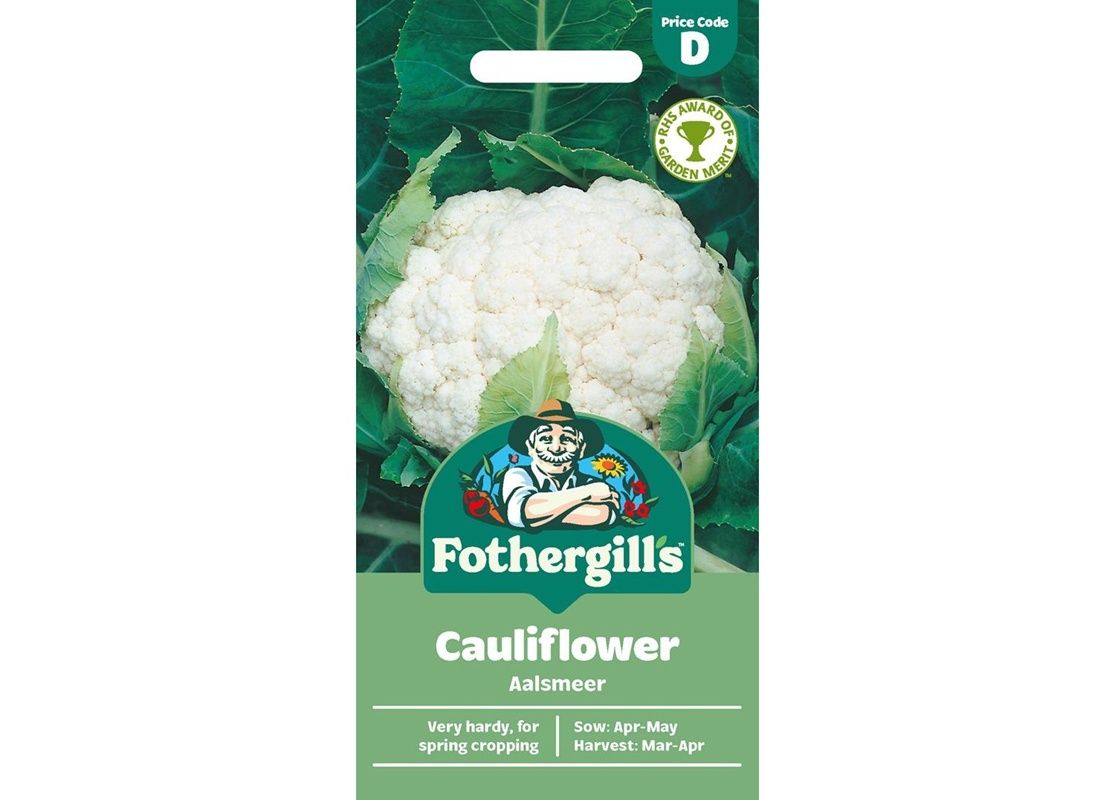 CAULIFLOWER Aalsmeer CAULIFLOWER Aalsmeer