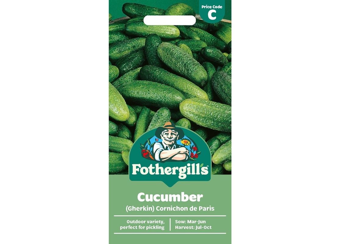 CUCUMBER (Gherkin) Cornichon de Paris