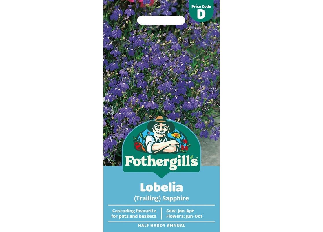 LOBELIA (Trailing) Sapphire