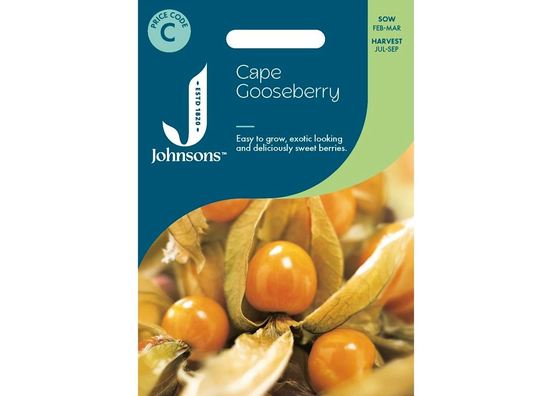CAPE GOOSEBERRY CAPE GOOSEBERRY