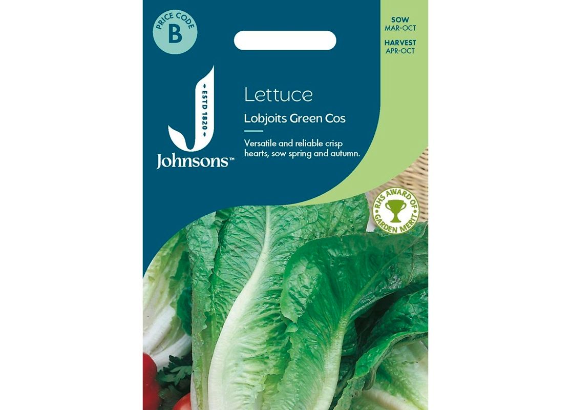 LETTUCE Lobjoits Green Cos