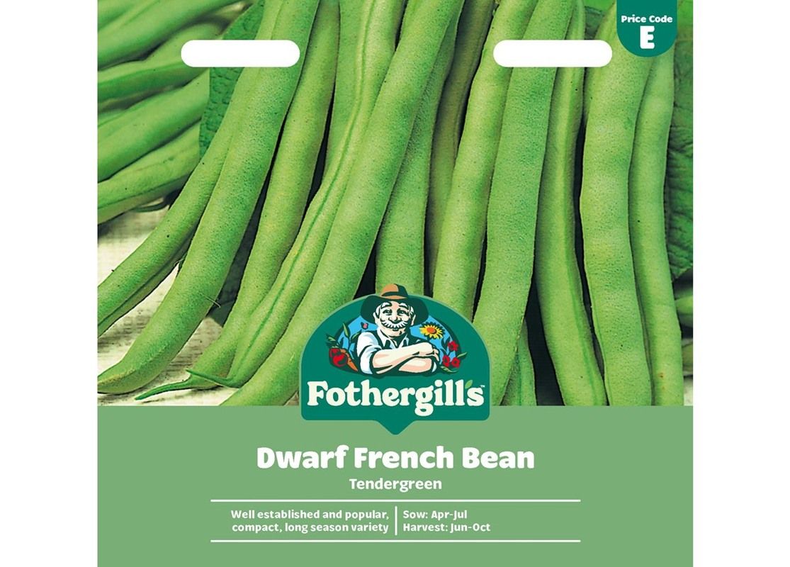 DWARF FRENCH BEAN Tendergreen