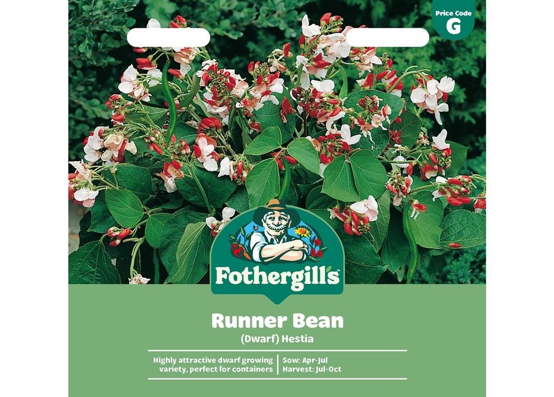 RUNNER BEAN (Dwarf) Hestia RUNNER BEAN (Dwarf) Hestia