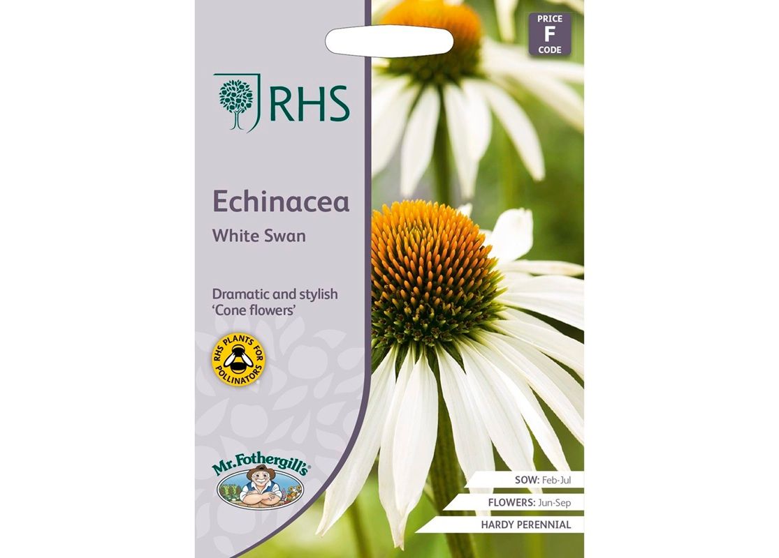 RHS Echinacea White Swan RHS Echinacea White Swan