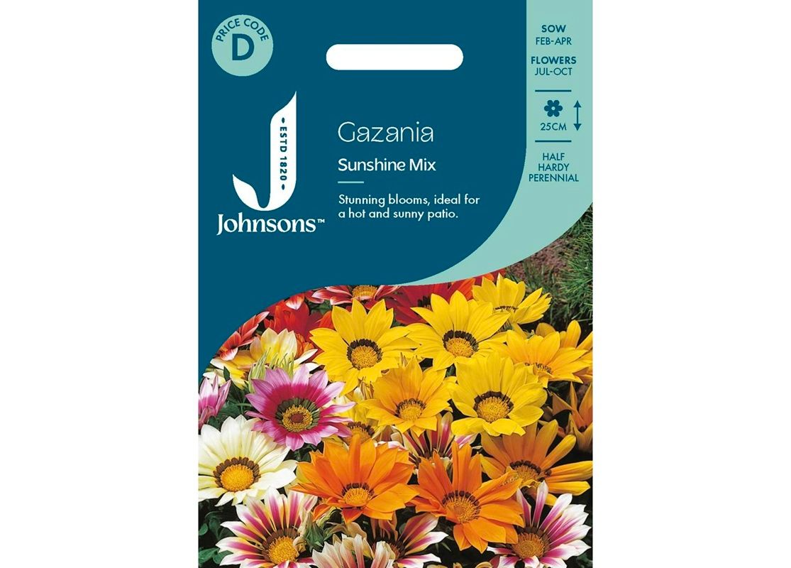 GAZANIA Sunshine Mix