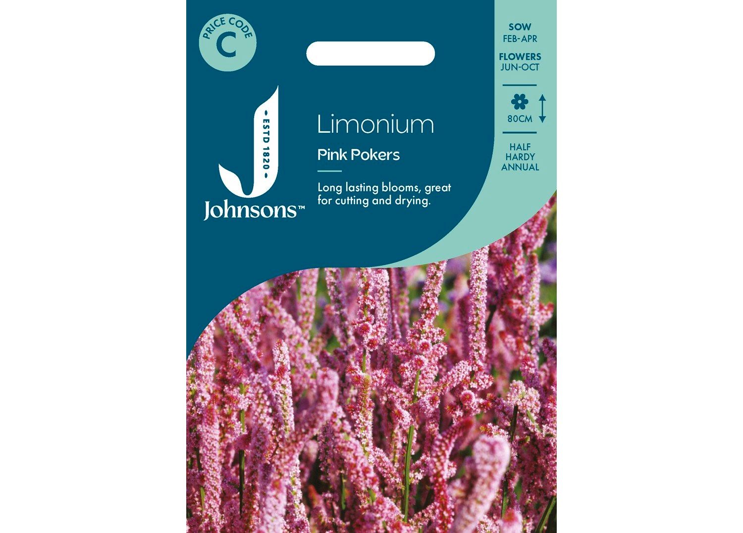 LIMONIUM Pink Pokers