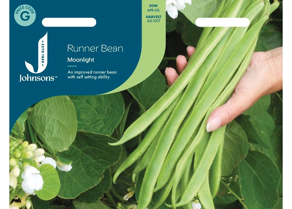 RUNNER BEAN Moonlight