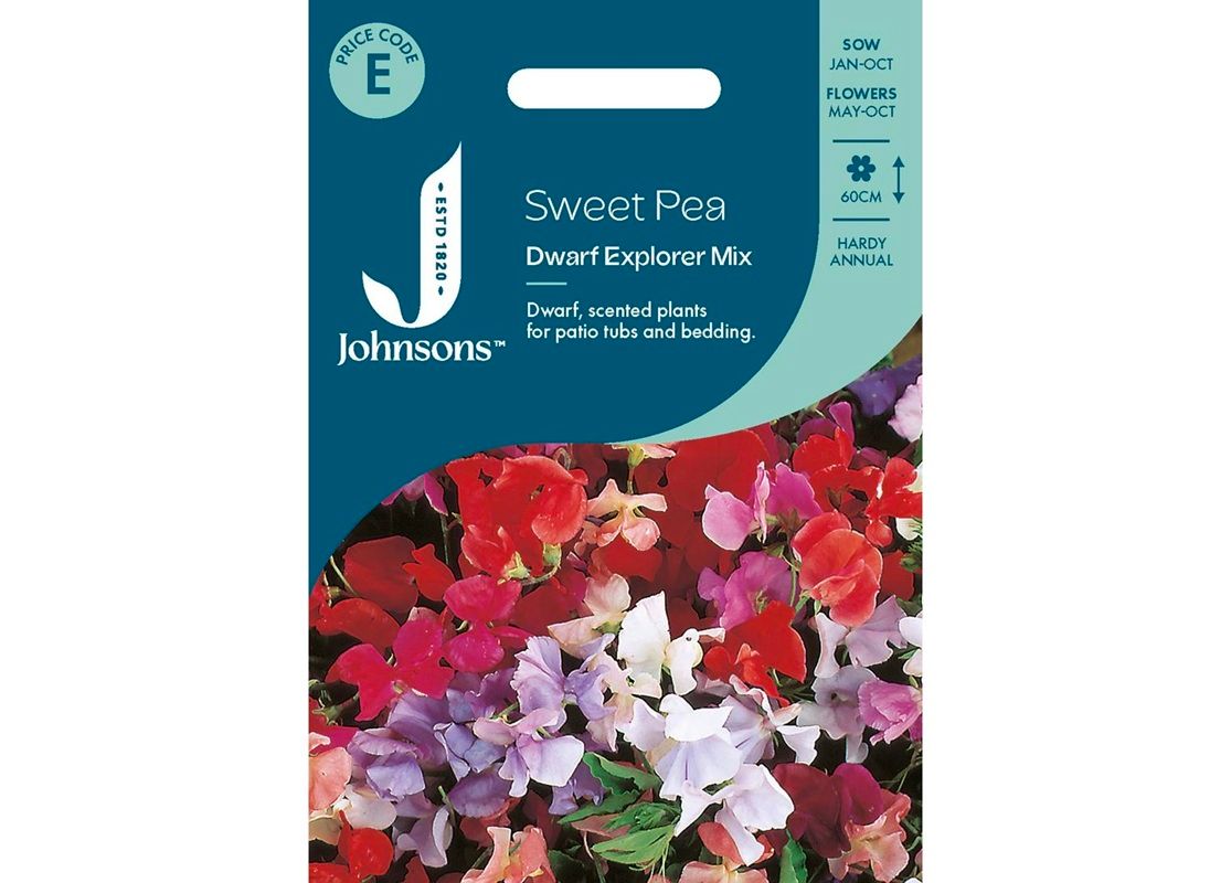 SWEET PEA Dwarf Explorer Mix