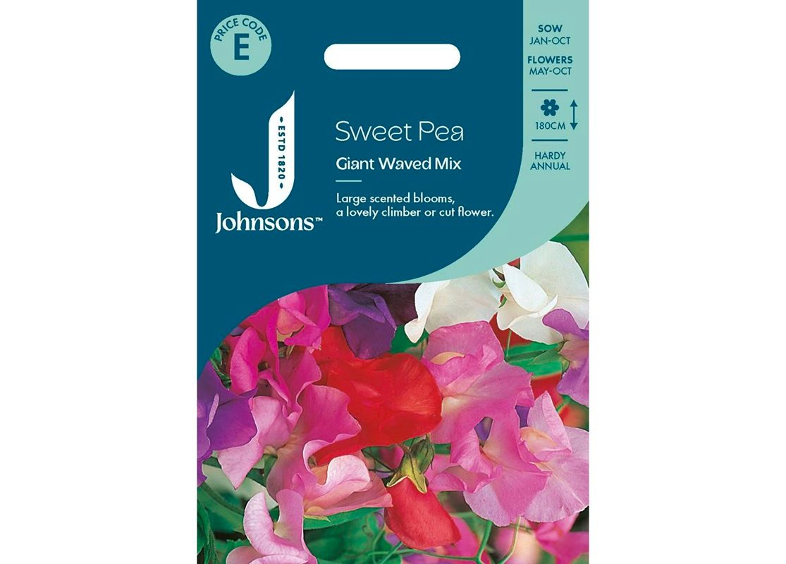 SWEET PEA Giant Waved Mix