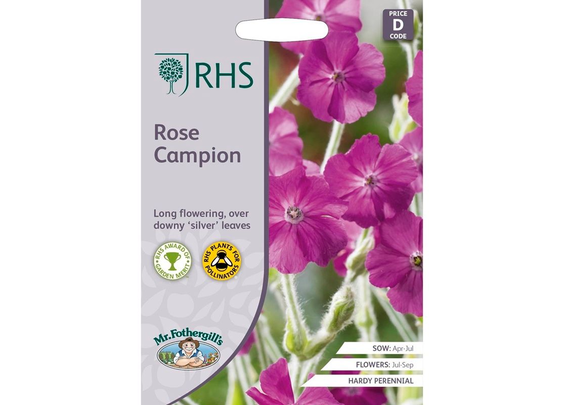 RHS ROSE Campion RHS ROSE Campion
