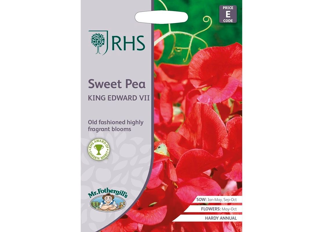 RHS SWEET PEA King Edward VII