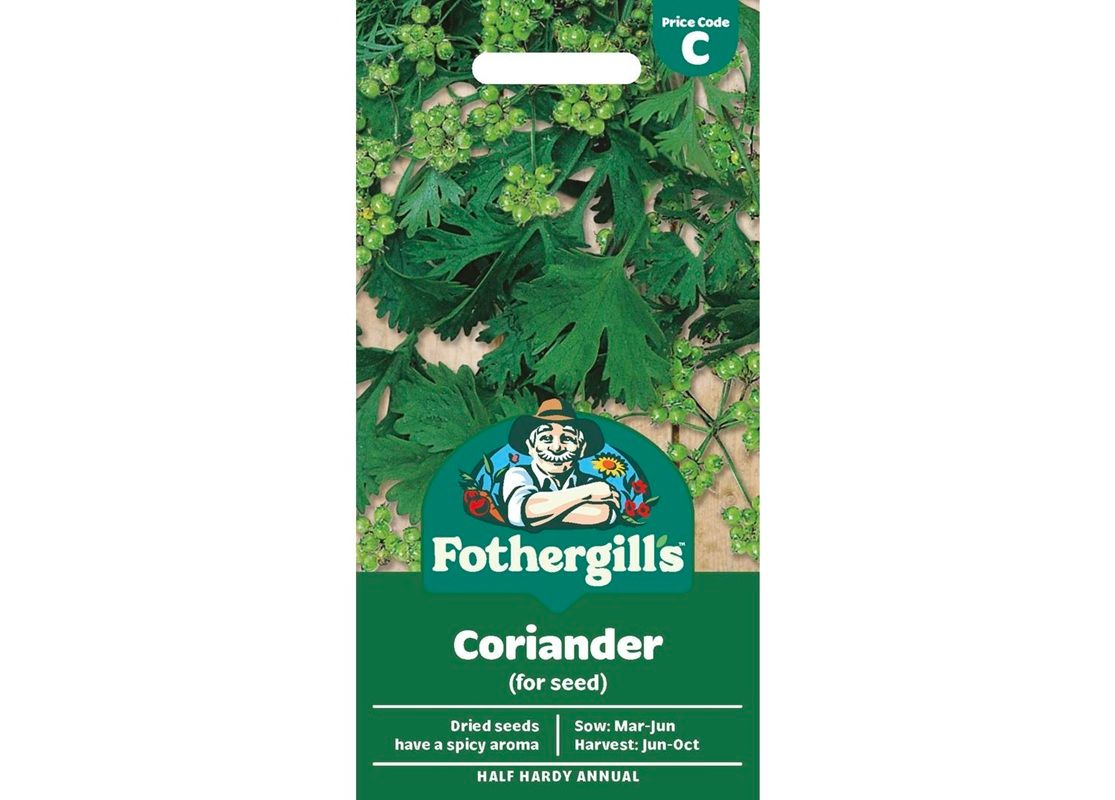 CORIANDER (for seed)