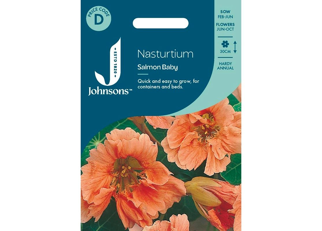 NASTURTIUM Salmon Baby